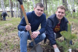 Лесное дело - Байкальский государственный университет