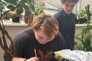 Лесное дело - Байкальский государственный университет