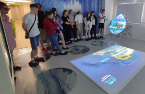 Лесное дело - Байкальский государственный университет