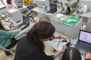 Лесное дело - Байкальский государственный университет